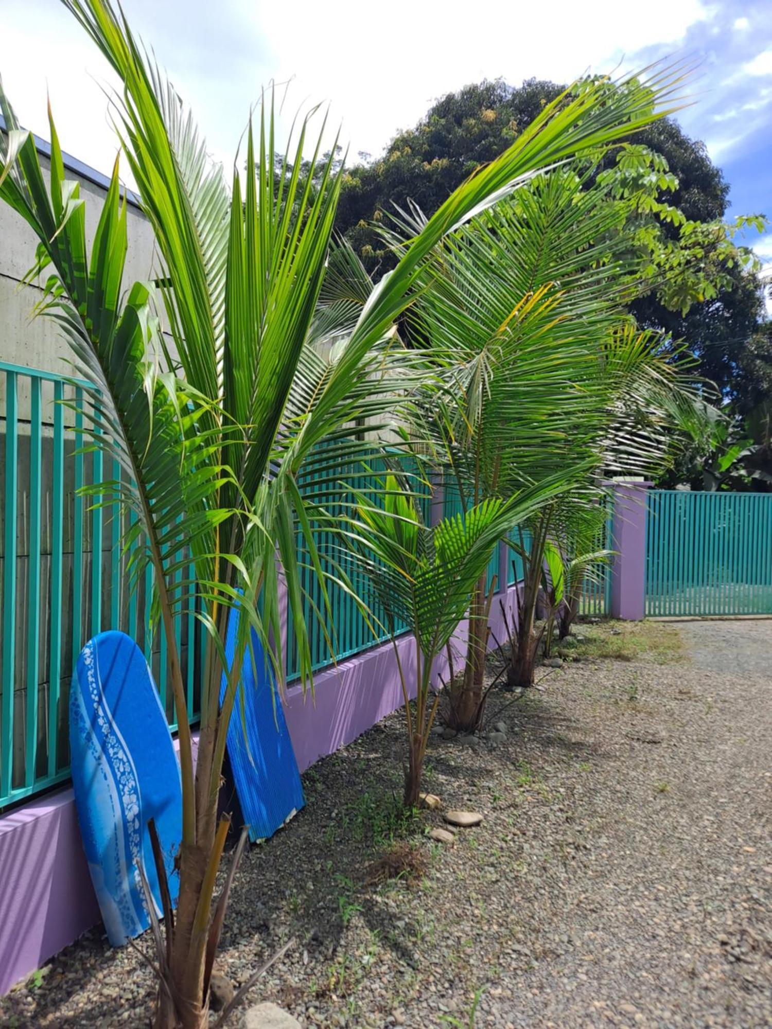 Casa Uvita Bay Buitenkant foto